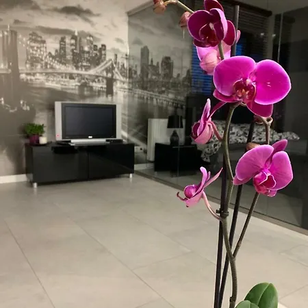 Apartament Apartament Szeligowskiego Lublin